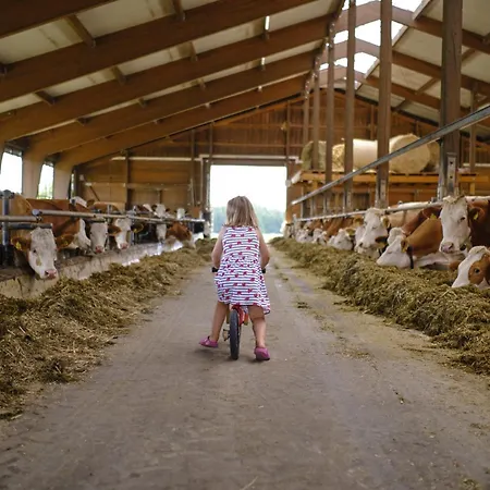 Huberhof Hinzing Ferienbauernhof Lägenhet